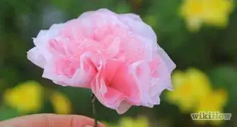 Make Coffee Filter Flowers