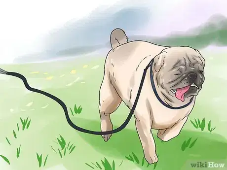 Image titled Hold a Dog's Leash Step 8