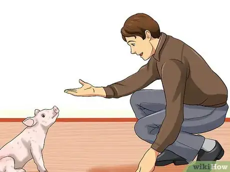 Image titled Play with a Piglet Step 2