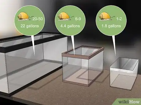 Image titled Care for Mystery Snails Step 1