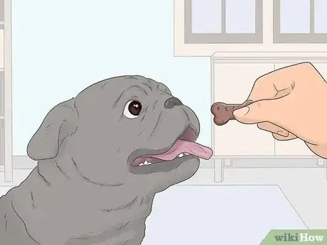 Image titled House Train Your Dog Step 17