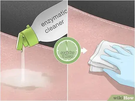 Image titled Remove Vomit Smell from Your Car Step 11