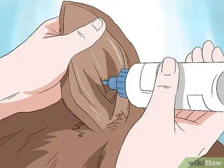 Image titled Deal with Hair Loss in Cats Step 15