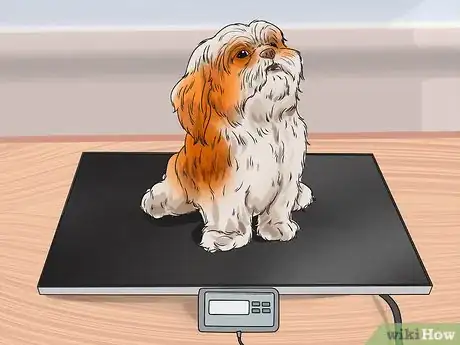 Image titled Feed Your Shih Tzu Step 1