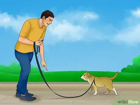 Image titled Get a Dog to Listen Step 5