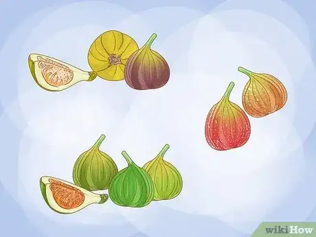 Image titled Grow Figs Step 1