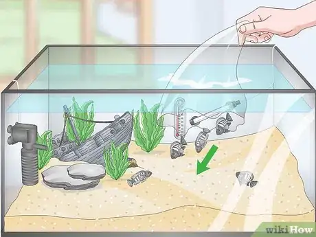 Image titled Set up a Tropical Freshwater Aquarium Step 20