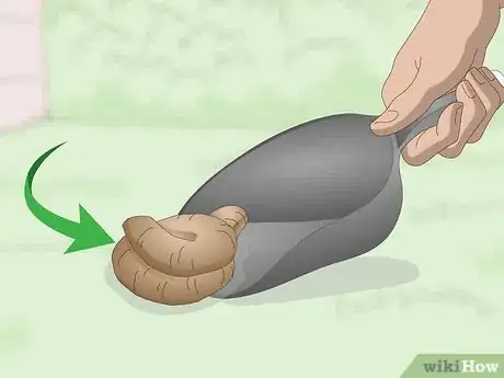 Image titled Dispose of Dog Poop Step 1