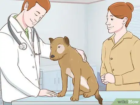 Image titled Shadow a Veterinarian Step 17