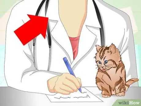 Image titled Get a Sick Kitten to Eat Step 3