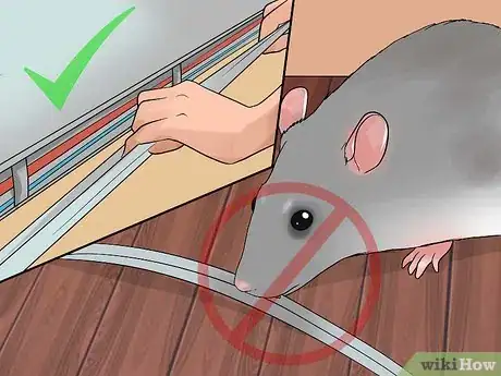 Image titled Shoulder Train a Pet Rat Step 17