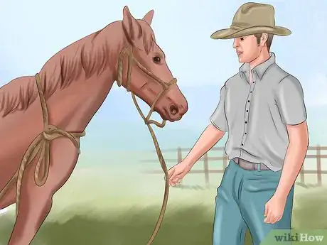 Image titled Get Your Horse to Trust and Respect You Step 17