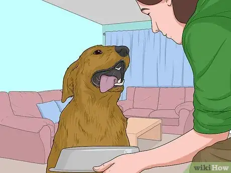 Image titled Feed a Sick Dog Step 13