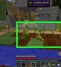 Grow Wheat in Minecraft