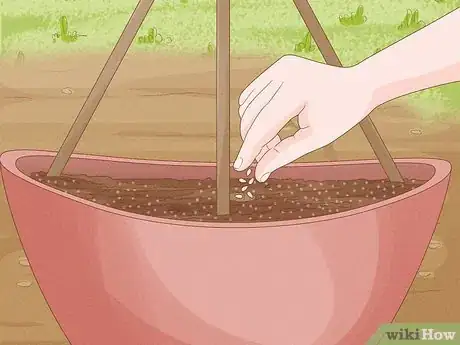 Image titled Grow Cucumbers in Pots Step 10