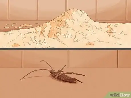 Image titled Get Rid of Carpenter Ants Step 11