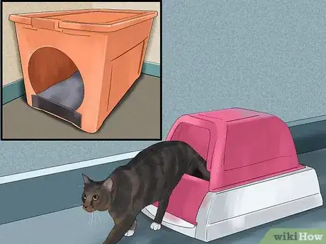 Image titled Catify Your Home for a Senior Cat Step 11