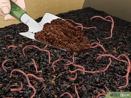 Image titled Use Coffee Grounds in Your Garden Step 8