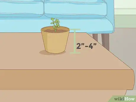 Image titled Grow Plants Faster Step 12