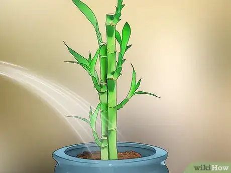 Image titled Care for an Indoor Bamboo Plant Step 5