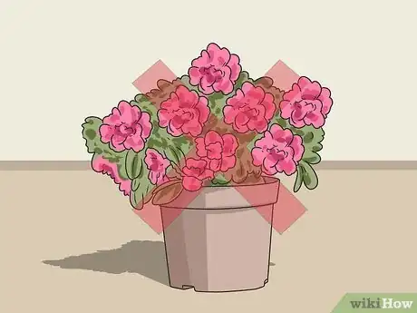 Image titled Stop Your Dog from Eating Your Plants Step 11