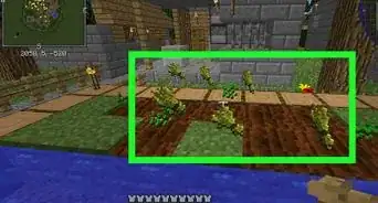 Grow Wheat in Minecraft