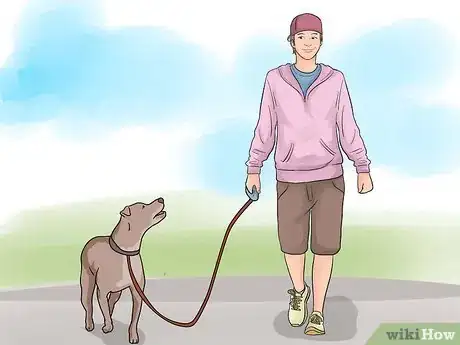 Image titled Stop Your Dog from Eating Your Plants Step 13