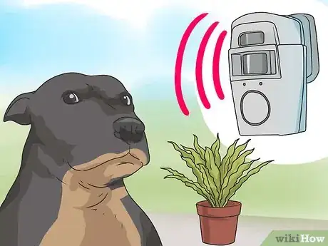 Image titled Stop Your Dog from Eating Your Plants Step 6