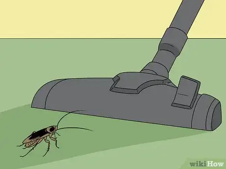 Image titled Do Pest Control With a Vacuum Cleaner Step 7