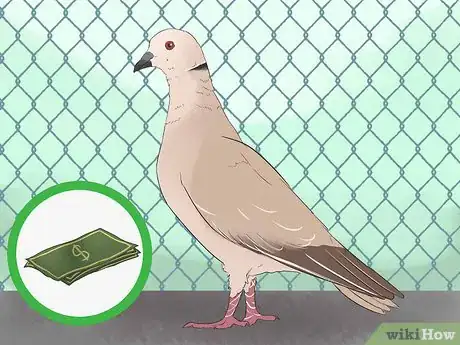 Image titled Know if Doves Are Right for You Step 5