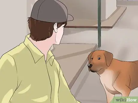 Image titled Stop Your Dog from Biting Other People Step 8