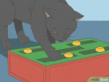 Image titled Identify a Bombay Cat Step 7