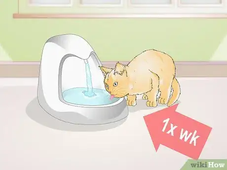 Image titled Train Your Cat to Use a Pet Fountain Step 4