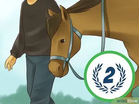 Image titled Socialize a Single Horse Step 11