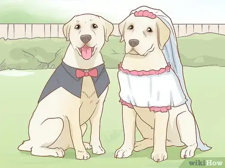 Image titled Host a Dog Wedding Step 1