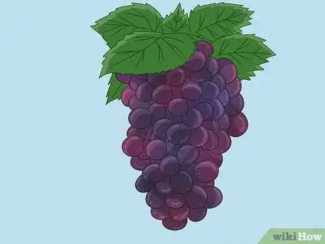 Image titled Make Homemade Wine Step 2