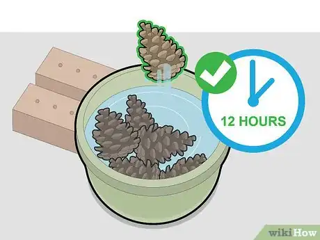 Image titled Bleach Pine Cones Step 8