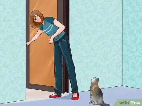 Image titled Move with a Cat Step 14