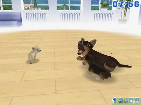 Image titled Earn Money and Trainer Points in Nintendogs Step 1