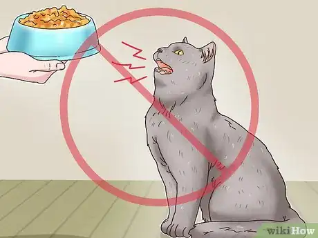 Image titled Identify a British Shorthair Cat Step 10