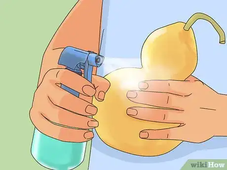 Image titled Dry Gourds for Decorating Step 2