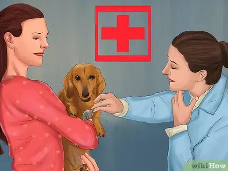 Image titled Stop Your Dog from Being Frightened During a Storm Step 13