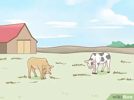 Image titled Care for Cattle Step 1