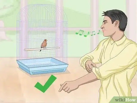 Image titled Bond with Pet Finches Step 1