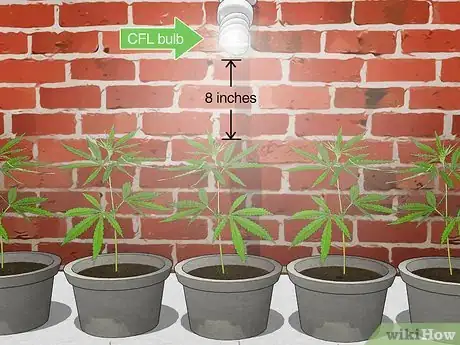 Image titled Plant Clones Step 9