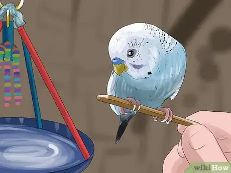 Image titled Teach a Budgie to Catch Flies Step 1