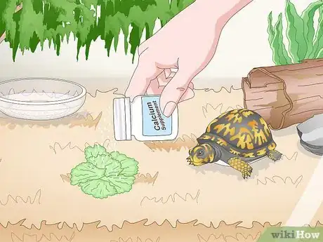 Image titled Care for an Eastern Box Turtle Step 14