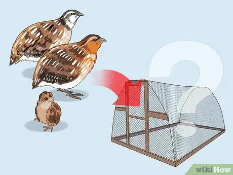 Image titled Build a Quail Habitat Step 1