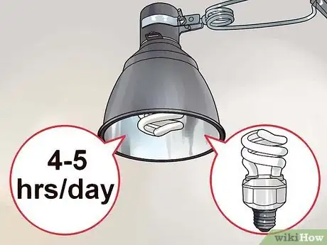 Image titled Care for Tree Frogs Step 5