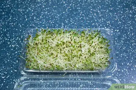 Image titled Eat Alfalfa Sprouts Step 1